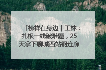 榜样在身边｜王林：扎根一线破难题，25天拿下聊城西站钢连廊“硬核”工程