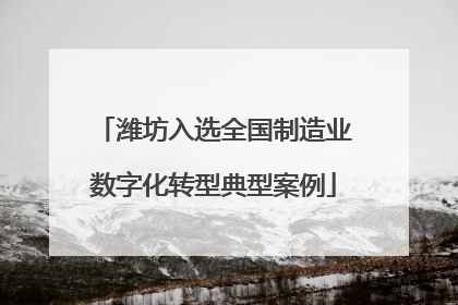 潍坊入选全国制造业数字化转型典型案例