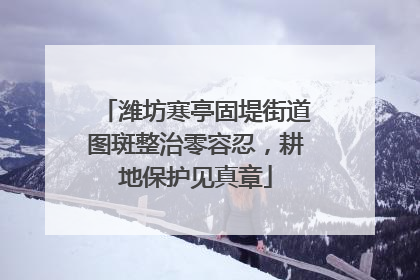 潍坊寒亭固堤街道图斑整治零容忍，耕地保护见真章