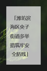 潍坊滨海区央子街道多举措筑牢安全防线