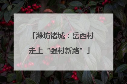 潍坊诸城：岳西村走上“强村新路”