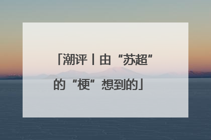 潮评丨由“苏超”的“梗”想到的