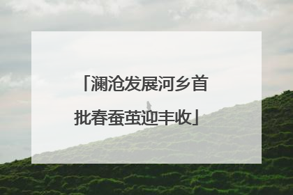 澜沧发展河乡首批春蚕茧迎丰收