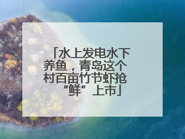 水上发电水下养鱼，青岛这个村百亩竹节虾抢“鲜”上市