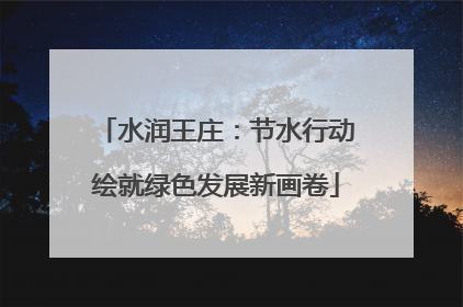 水润王庄：节水行动绘就绿色发展新画卷