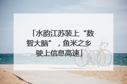 水韵江苏装上“数智大脑”，鱼米之乡驶上信息高速