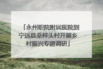 永州职院附属医院到宁远县桑梓头村开展乡村振兴专题调研