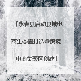 永春县启动县域电商生态圈打造暨跨境电商集聚区创建