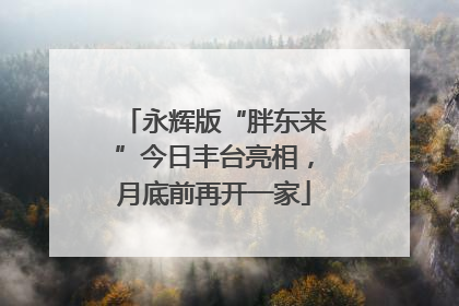 永辉版“胖东来”今日丰台亮相，月底前再开一家