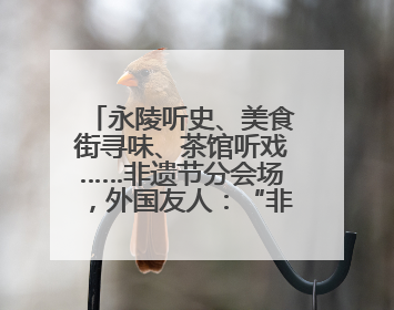 永陵听史、美食街寻味、茶馆听戏……非遗节分会场，外国友人：“非常棒”