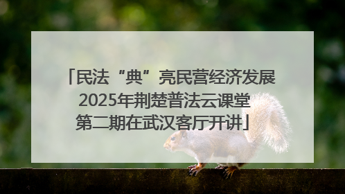 民法“典”亮民营经济发展 2025年荆楚普法云课堂第二期在武汉客厅开讲