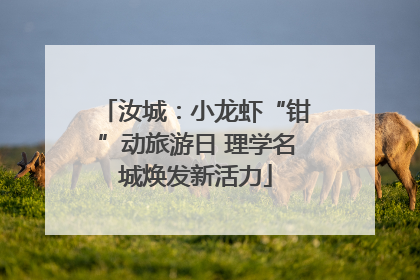 汝城：小龙虾“钳”动旅游日 理学名城焕发新活力