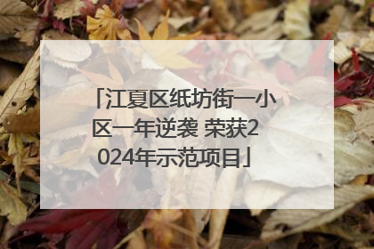 江夏区纸坊街一小区一年逆袭 荣获2024年示范项目