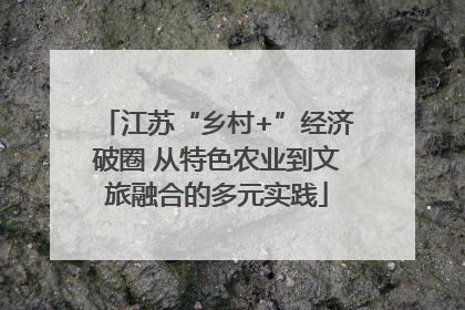 江苏“乡村+”经济破圈 从特色农业到文旅融合的多元实践