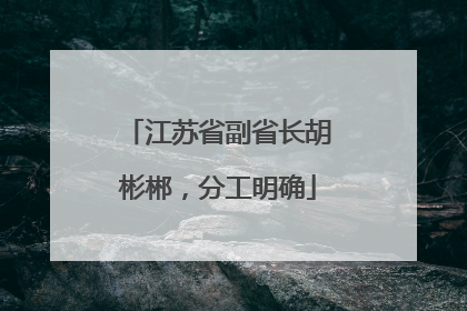 江苏省副省长胡彬郴，分工明确