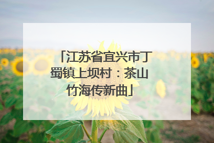 江苏省宜兴市丁蜀镇上坝村：茶山竹海传新曲