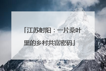 江苏射阳：一片桑叶里的乡村共富密码