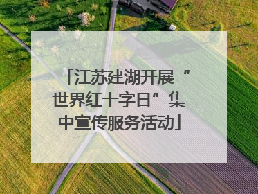 江苏建湖开展“世界红十字日”集中宣传服务活动