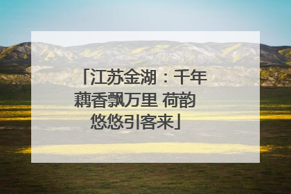 江苏金湖：千年藕香飘万里 荷韵悠悠引客来