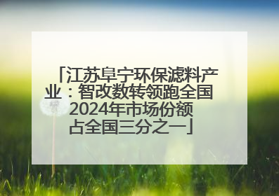 江苏阜宁环保滤料产业：智改数转领跑全国 2024年市场份额占全国三分之一