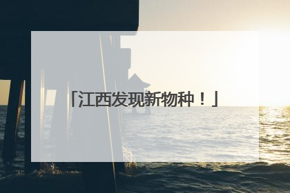 江西发现新物种！