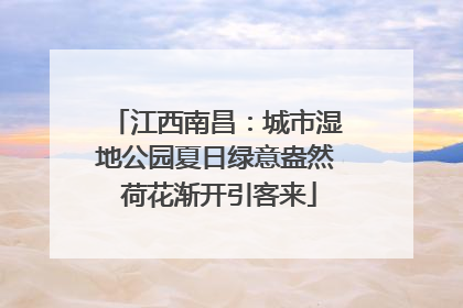 江西南昌：城市湿地公园夏日绿意盎然 荷花渐开引客来