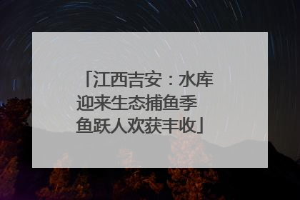 江西吉安：水库迎来生态捕鱼季 鱼跃人欢获丰收