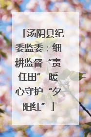 汤阴县纪委监委：细耕监督“责任田” 暖心守护“夕阳红”