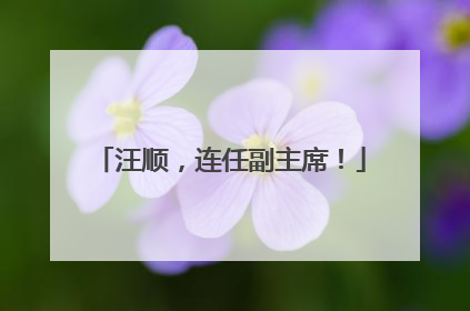 汪顺，连任副主席！