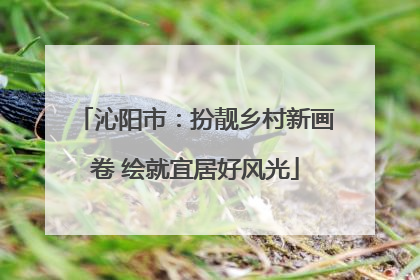 沁阳市：扮靓乡村新画卷 绘就宜居好风光