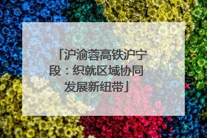沪渝蓉高铁沪宁段：织就区域协同发展新纽带