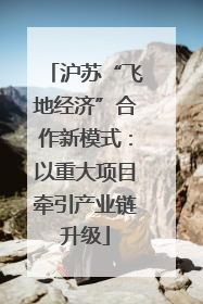沪苏“飞地经济”合作新模式：以重大项目牵引产业链升级