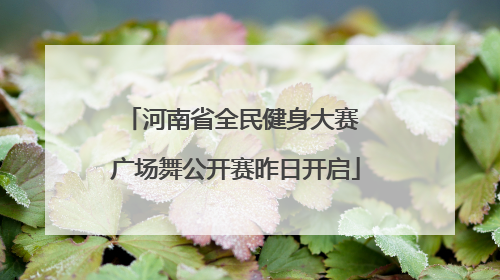 河南省全民健身大赛 广场舞公开赛昨日开启