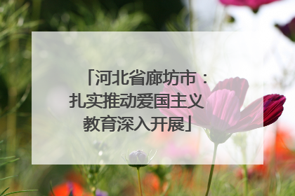 河北省廊坊市：扎实推动爱国主义教育深入开展