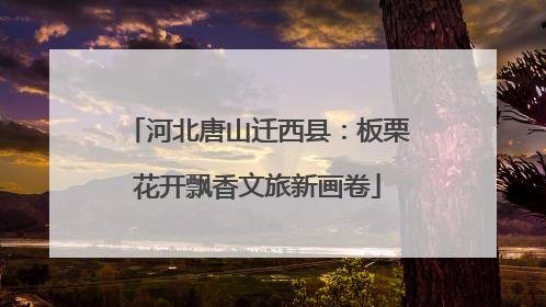 河北唐山迁西县：板栗花开飘香文旅新画卷