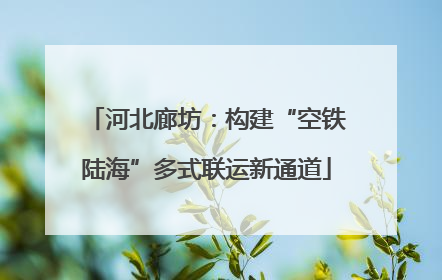 河北廊坊：构建“空铁陆海”多式联运新通道