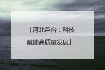 河北芦台：科技赋能高质量发展