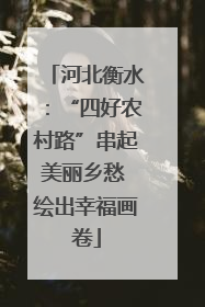 河北衡水：“四好农村路”串起美丽乡愁 绘出幸福画卷