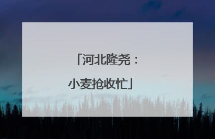河北隆尧：小麦抢收忙