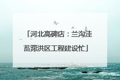 河北高碑店：兰沟洼蓄滞洪区工程建设忙