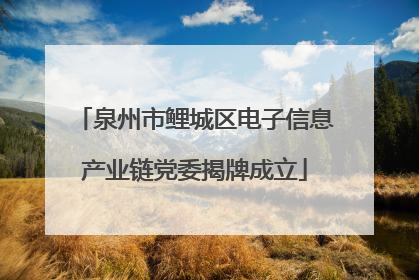 泉州市鲤城区电子信息产业链党委揭牌成立