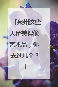 泉州这些天桥美得像艺术品，你去过几个？