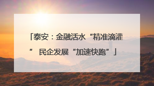 泰安：金融活水“精准滴灌” 民企发展“加速快跑”