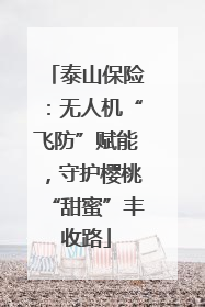 泰山保险：无人机“飞防”赋能，守护樱桃“甜蜜”丰收路