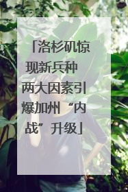 洛杉矶惊现新兵种 两大因素引爆加州“内战”升级