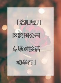 洛阳经开区跨国公司专场对接活动举行