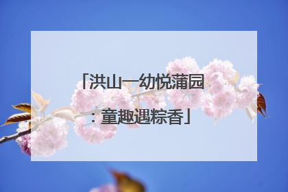 洪山一幼悦蒲园：童趣遇粽香