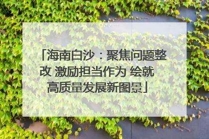 海南白沙：聚焦问题整改 激励担当作为 绘就高质量发展新图景