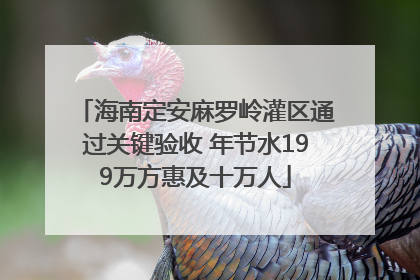 海南定安麻罗岭灌区通过关键验收 年节水199万方惠及十万人