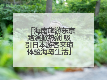 海南旅游东京路演掀热潮 吸引日本游客来琼体验海岛生活